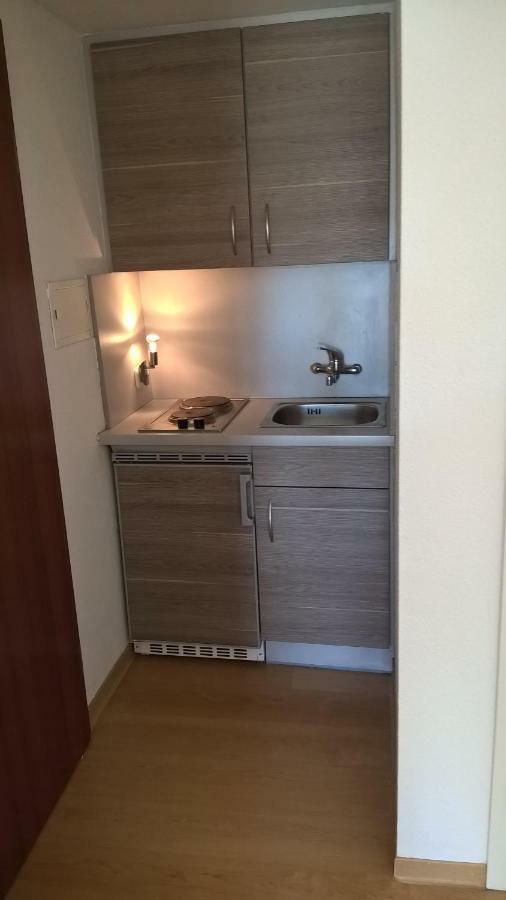 Ferien Apartment Antonie-Haupt-Strasse Трір Екстер'єр фото